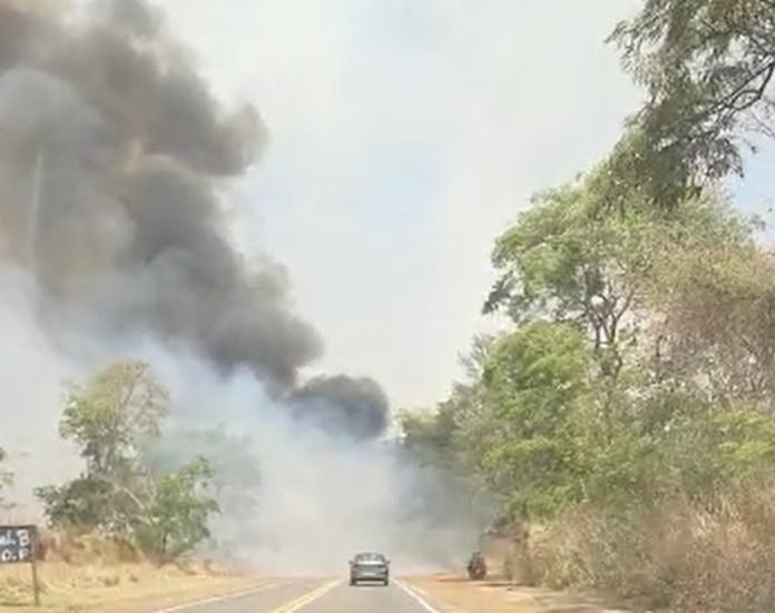 Polícia Ambiental de Pirassununga multa proprietário de sítio em R$ 10 mil por causa de incêndio — Foto: Reprodução EPTV