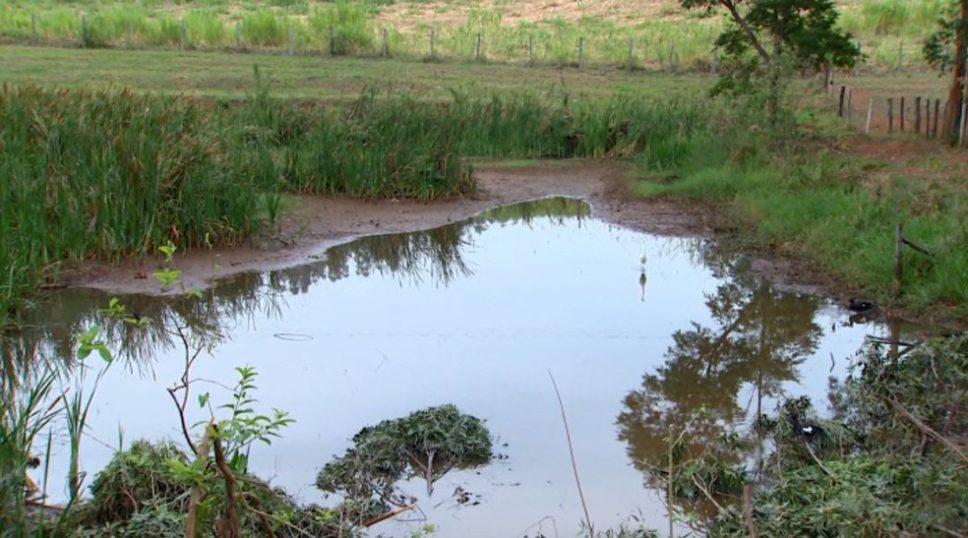 Estiagem prejudica lavoura e aumenta preço dos alimentos em São José do Rio Pardo