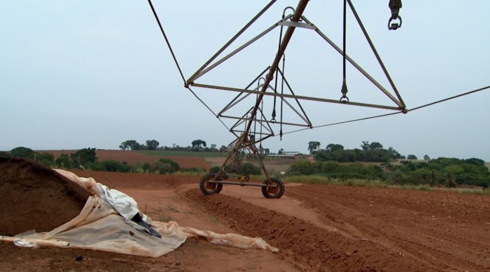 Estiagem prejudica lavoura e aumenta preço dos alimentos em Rio Pardo