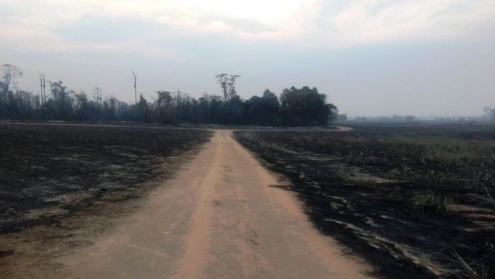 Polícia Militar Ambiental aplica multa de R$ 283,5 mil