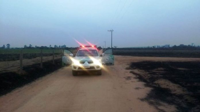 Queimada em zona rural de Pirassununga (SP). — Foto: Polícia Ambiental/Divulgação