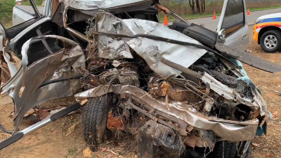 Motorista fica ferido após desviar de cachorro e bater em árvore na MGC-146