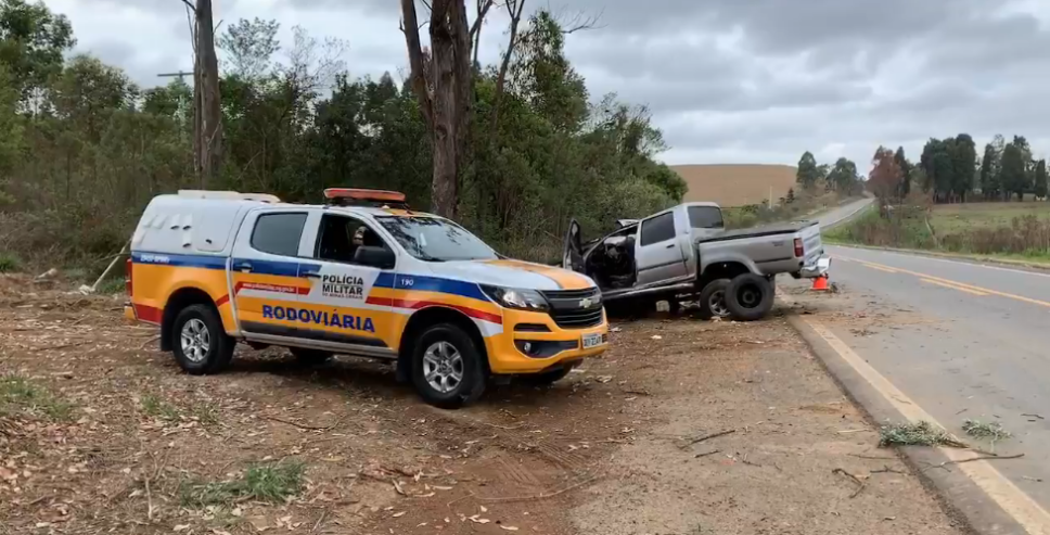 Motorista fica ferido após desviar de cachorro e bater em árvore