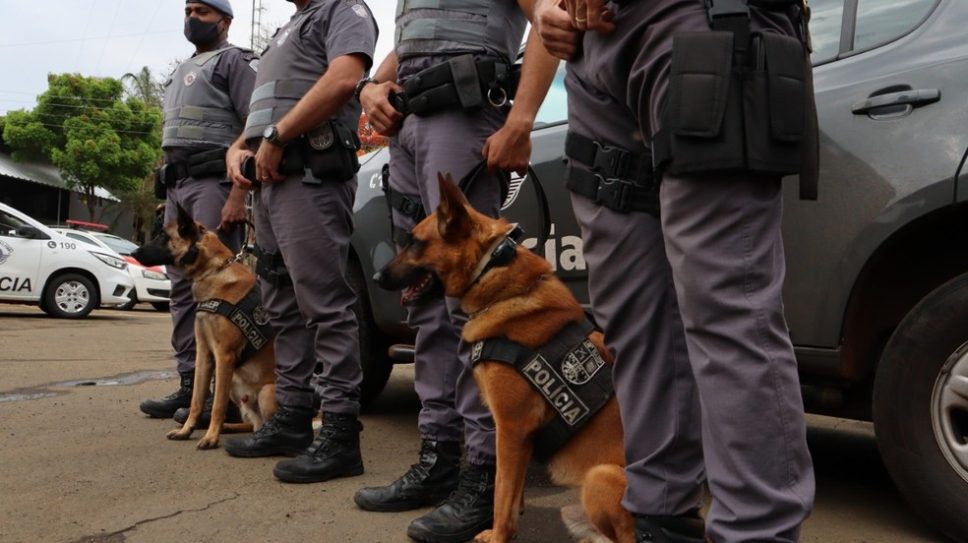 Operação Ostentação das Polícias Civil e Militar prende 13 suspeitos 