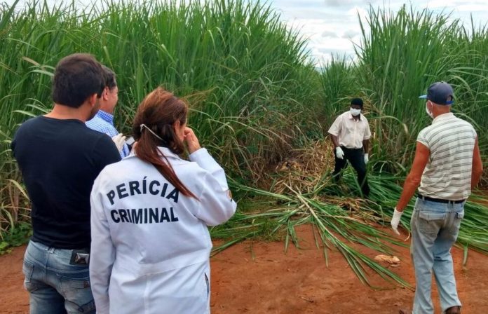 Corpo da jovem de 21 anos foi encontrado em um canavial de Aguaí — Foto: Jornal Gazeta de Aguaí