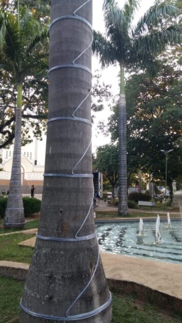 Parceria garante iluminação natalina em São José do Rio Pardo