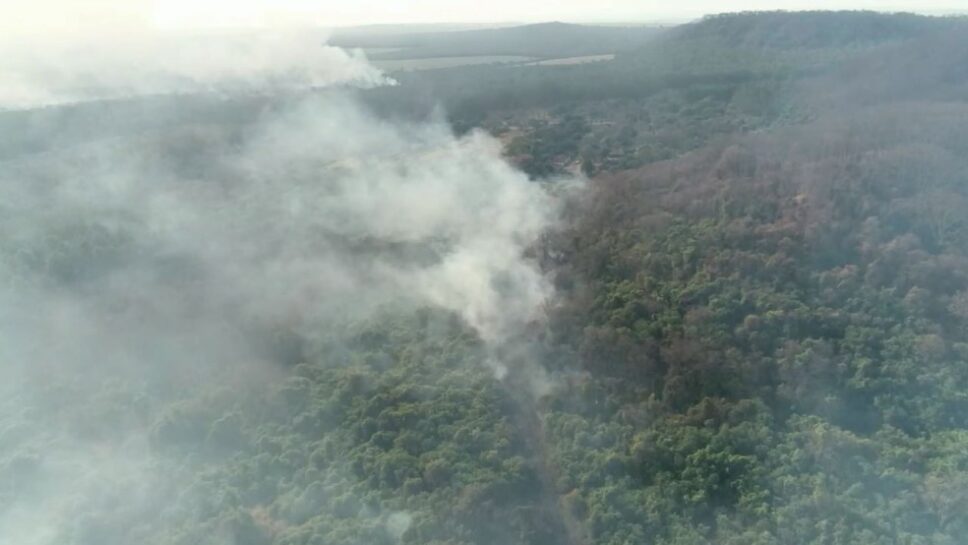 Polícia Ambiental multa CPFL Paulista em R$ 47 milhões por incêndio em reserva