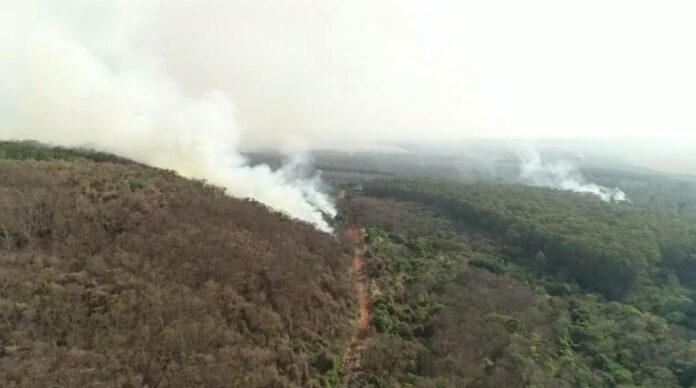 Polícia Ambiental multa CPFL Paulista em R$ 47 milhões por incêndio em reserva