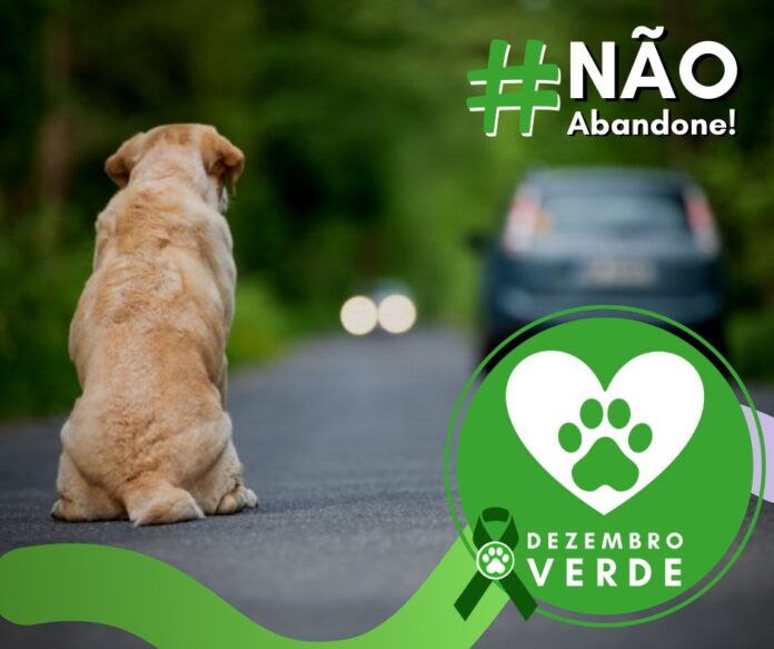 Dezembro Verde visa conscientizar sobre abandono de animais