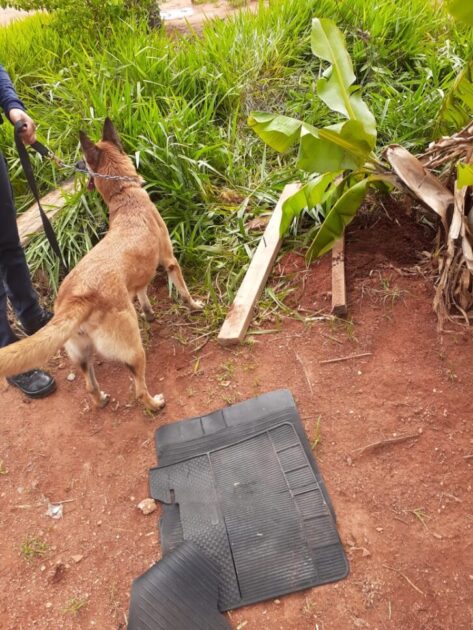 Homem é preso com meio tijolo de maconha pela Polícia Civil e GCM 