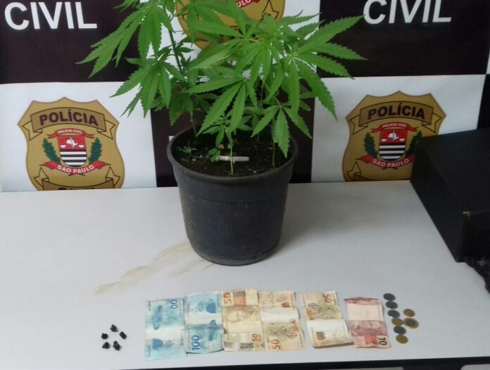 Polícia Civil de Rio Pardo apreende drogas e recupera moto furtada na cidade de Vargem Grande