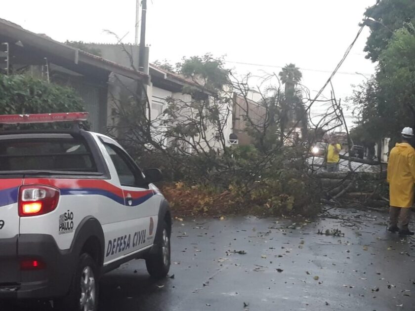 Chuva derruba árvores e cobertura de um posto de combustíveis