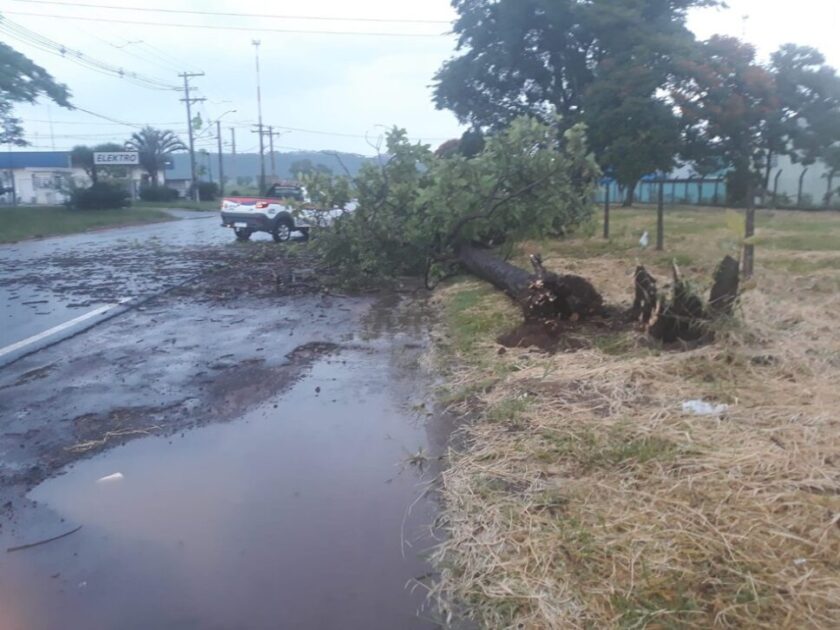 Chuva derruba árvores e cobertura de um posto de combustíveis