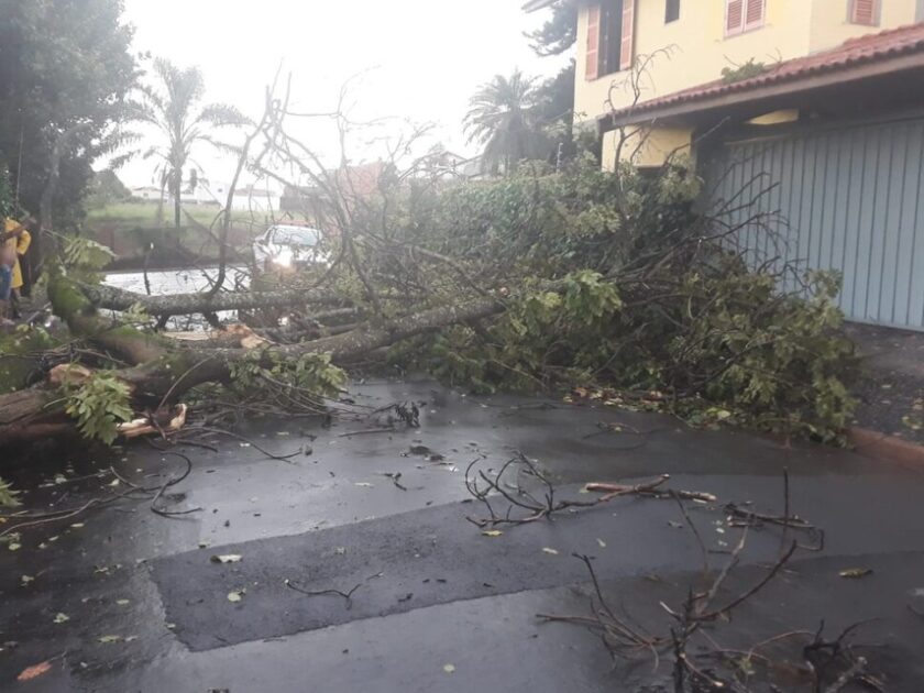 Chuva derruba árvores e cobertura de um posto de combustíveis