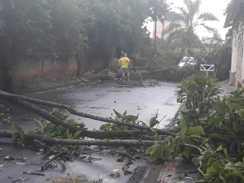 Chuva derruba árvores e cobertura de um posto de combustíveis