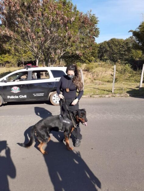 Florence assume chefia do Setor de Investigação Geral (SIG) da Polícia Civil