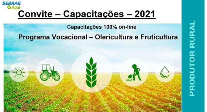 Sebrae divulga cursos do Programa Estadual voltado para Olericultura e Fruticultura