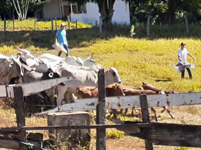 Polícia Civil prende sitiante por receptação de gado e apreende drogas, dinheiro falso, cheques clonados em Sítio