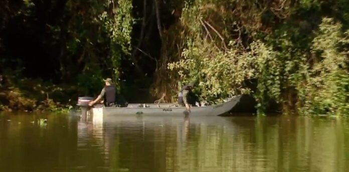 Polícia Ambiental registra aumento de quase 37% na apreensão de armadilhas de pesca no Rio Mogi Guaçu — Foto: Ely Venâncio/EPTV